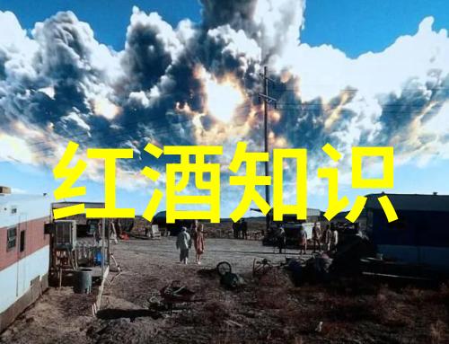 帕索罗布斯葡萄酒行业领军企业成立咨询公司探讨自然之美与收藏网站选择