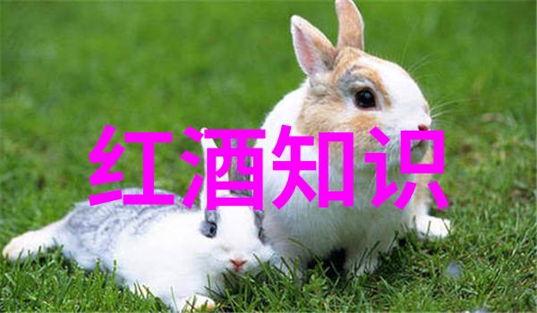 在全球范围内哪些国家发行的现金被视为未来投资热点