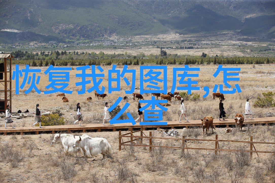 探秘我揭秘中世纪贵族庄园的神秘布局从森林到湖泊每一寸都藏着故事