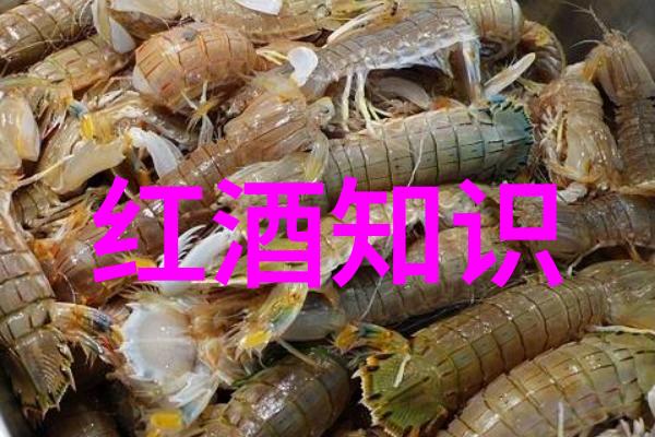 从地中海到新世界ws网站带你去旅行全球优质红酒推荐