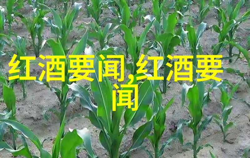 澳大利亚金州South Australia的惊喜之一角落Barossa Valley中的古老与现代融