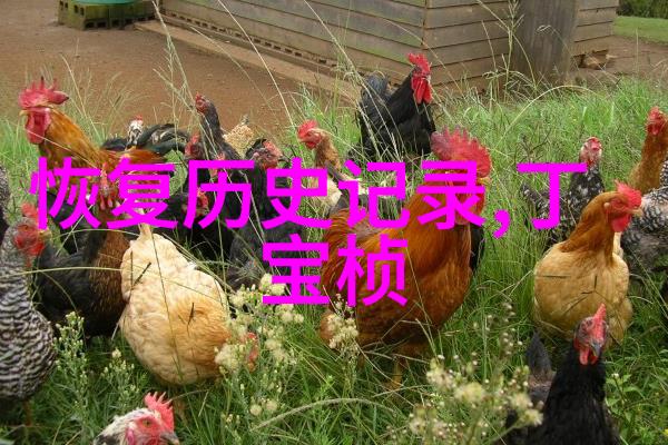 上海周边城市房价哪里便宜我在找个小窝你说哪里的房子买得起