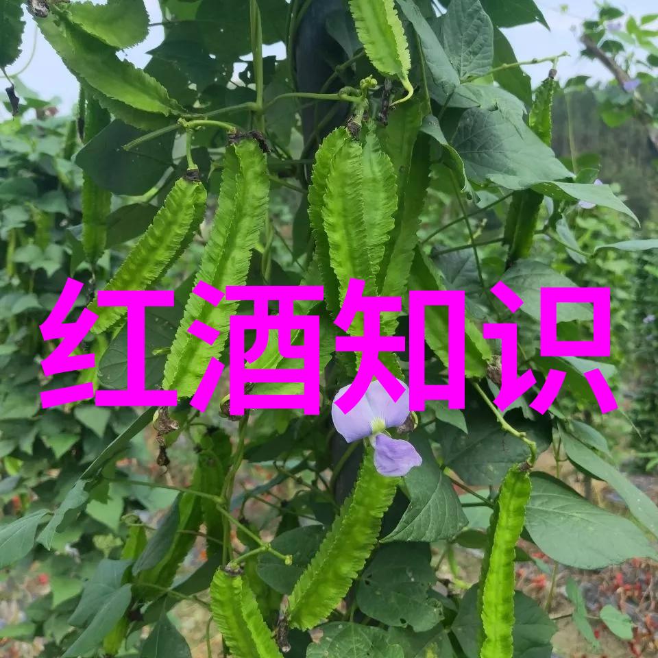 八上历史复习提纲我是不是该更认真点了
