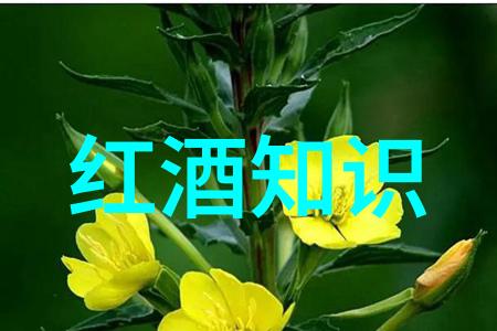 探索身边的奇迹附近旅行社的精彩跟团游体验