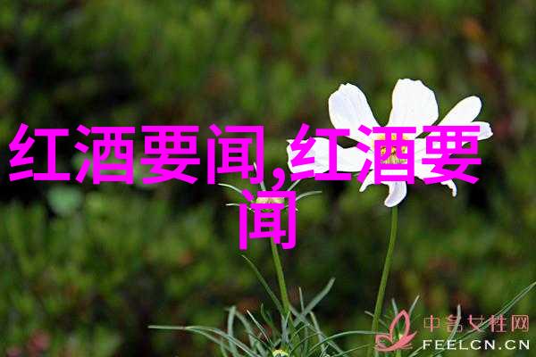 佳美娜Carmenere猫咪品种探秘在自然中追溯它们的足迹