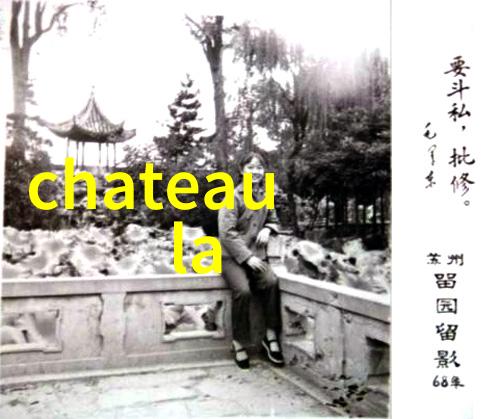 中国古代书画收藏家名录中国历史上的杰出书画收藏家