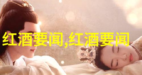 查看我的历史记录深度分析与隐私保护