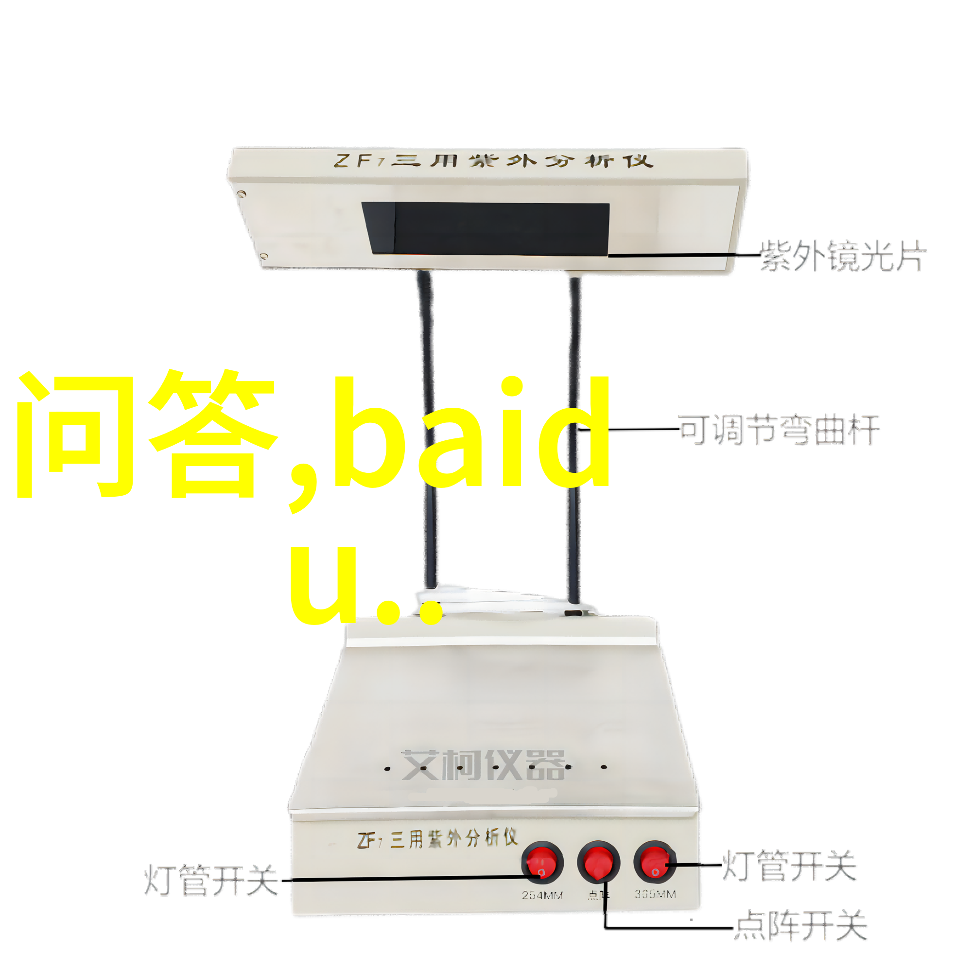 历史与文化中的cats 如何理解不同时代的宠物选择