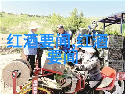 醉心世界葡萄酒揭秘那些闻名遐迩的产地