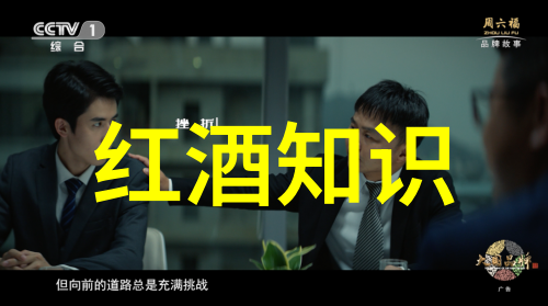 醉心于酒探索文化中的液态诗意