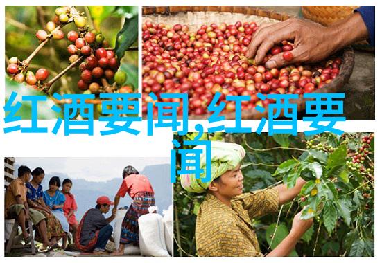 问答网登录指南解锁知识宝库的秘密入口