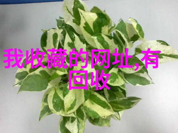 穿越千年明朝历史的诡异篇章