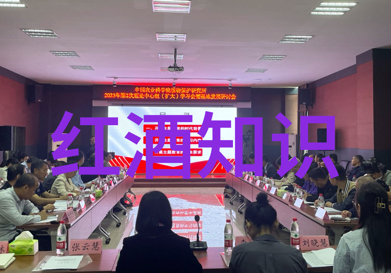 白马奔腾的葡萄酒之歌