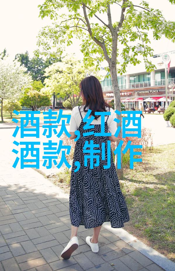 乌镇一日游探秘古韵与现代魅力
