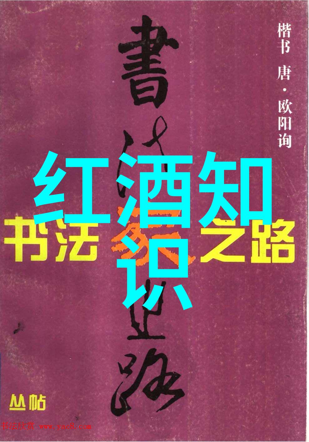 科学探索的新篇章解密jmse背后的奥秘