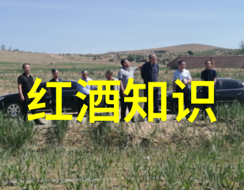 元明清三大民族帝国的统治方式有何不同它们为后来的中华民国奠定了怎样的基础