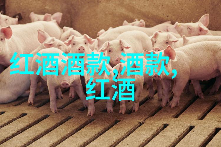 揭秘我的过去一段段沉淀在时间中的记忆