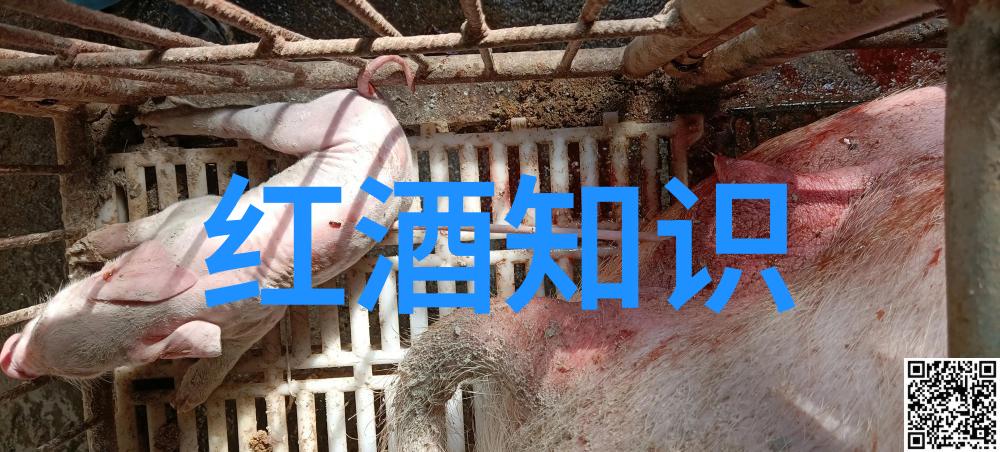 指数基金估值我眼中的买低卖高神器如何在市场波动中寻找价值投资机会