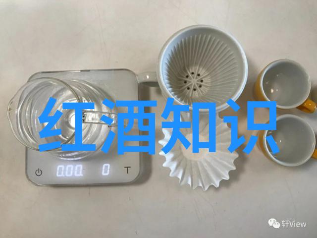 Bibendum增强了社会历史复习提纲的西班牙产品组合