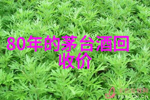 大婚晚辰全文免费阅读我倾城之恋她笑时星河闪烁的秘密