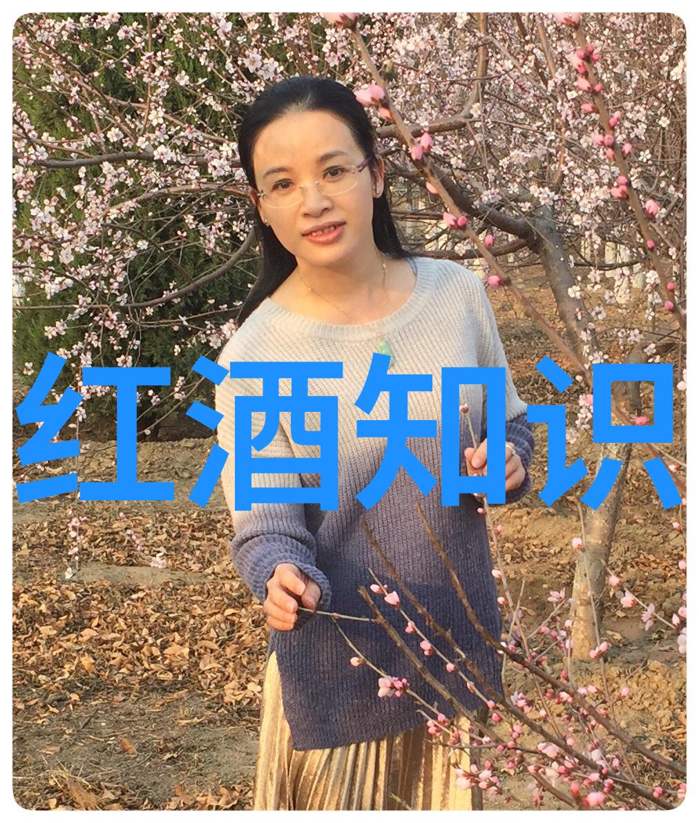 成都一天游必去景点探秘锦里走访武侯祠享受茶文化