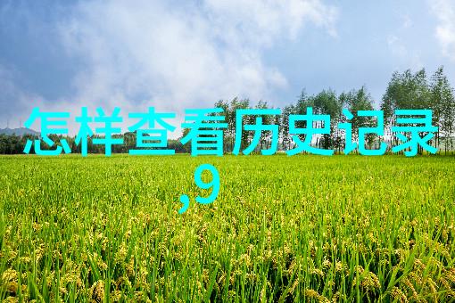从古典到现代探索法国每个重要产区为何有其独特魅力