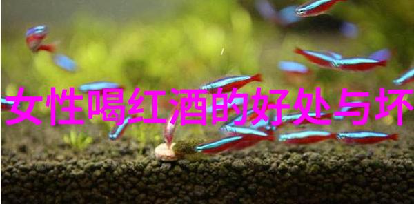 从5元到3亿潘家园捡漏案件的奇迹与争议