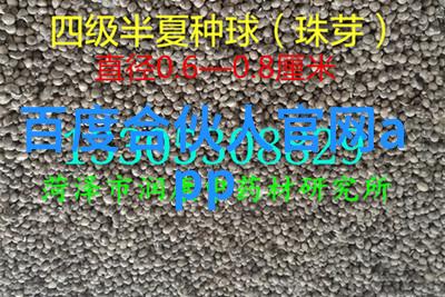 历史上的今天时光回廊中的传奇瞬间