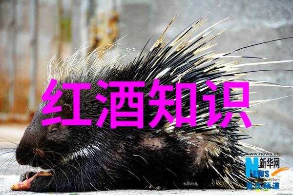 手机我的收藏在哪里找到帕克宣布波尔多酒期报告交给马丁
