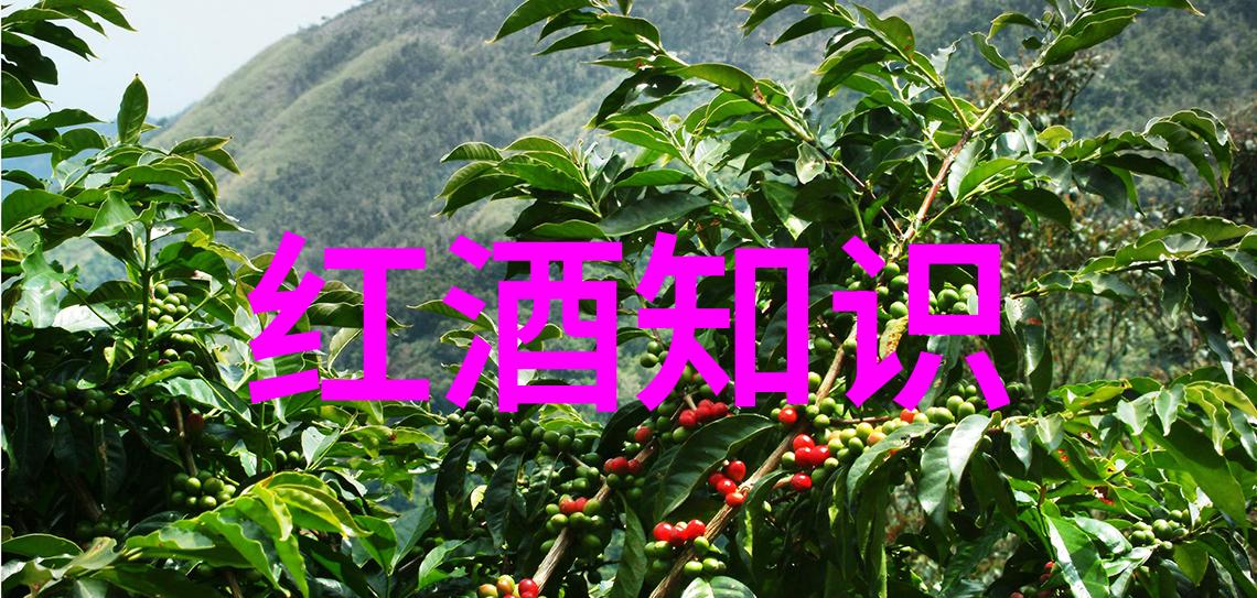 醉心红葡萄的绚烂交响