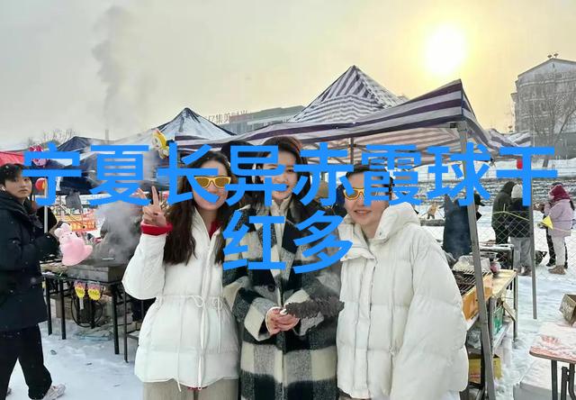 问答平台网站与社交媒体的互动机制