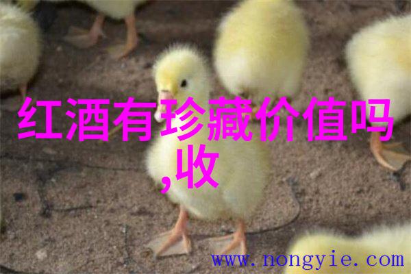 回顾1995一段历史的缩影