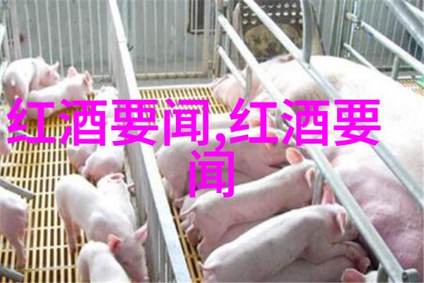 历史天气查询揭秘加州葡萄酒从无到有全球买家市场如潮水般汹涌而来