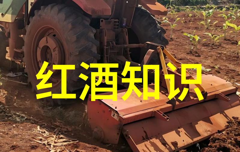 波斯