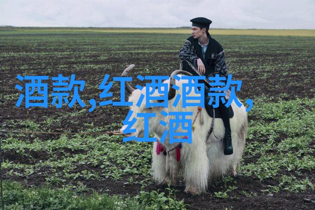 ETF作为货币管理工具在日常生活中的应用场景有哪些