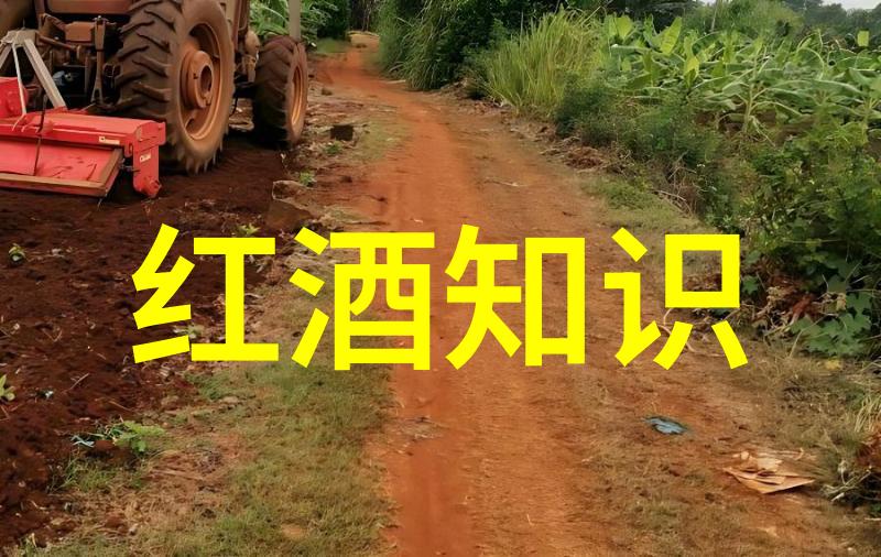 百度同城-揭秘百度同城问答入口您的就业与求职指南