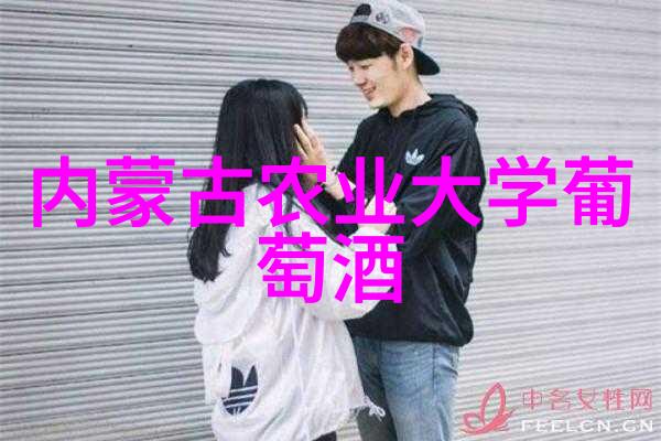 爱藏钱币查询探索古董银圆的历史价值与收藏秘籍