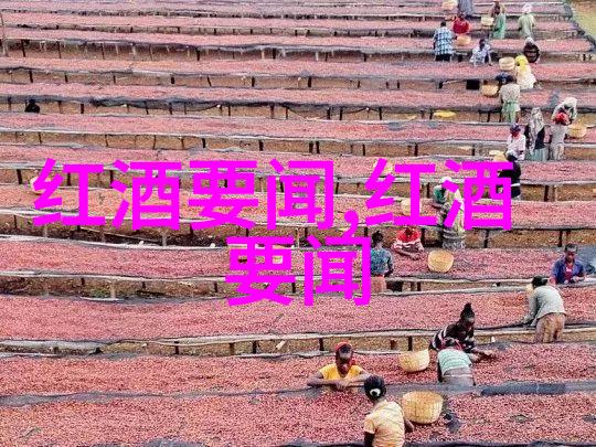 世界葡萄酒生产国全球葡萄酒产地