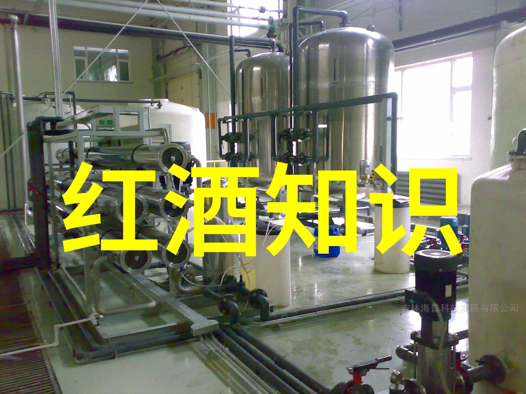 红酒的内涵葡萄园至酿造的传统与魅力