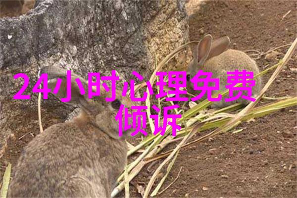 文化体验之旅揭秘上海周边的历史遗迹和艺术展览