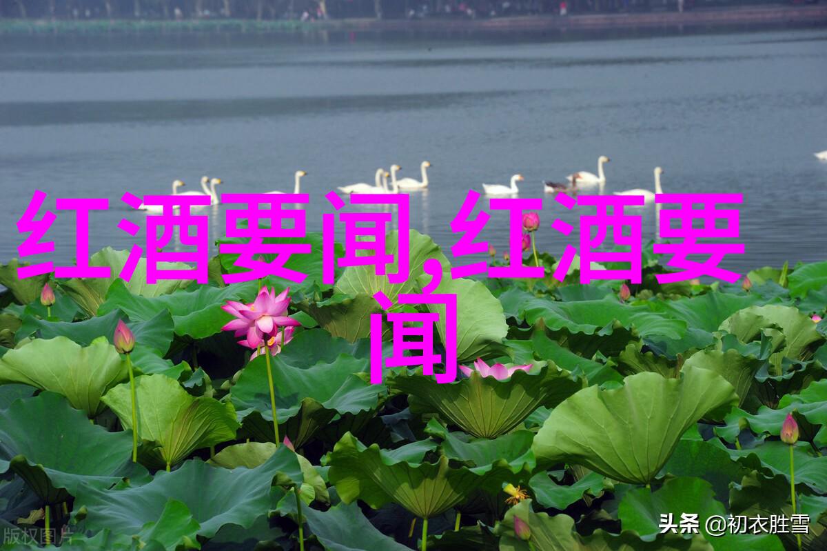 法兰西葡萄园之谜追踪罗讷河畔的秘密酒庄
