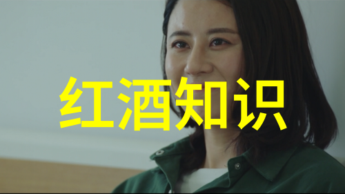 智利兰佩谷简介我在智利的故事兰佩谷篇