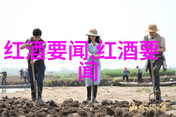 分散投资与集中配置在不同经济周期中对于不同类型资产进行何种方式进行评价和选择最为合适