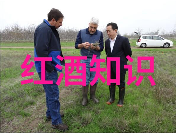 精准答疑如何准备面对千篇一律的茶艺师试卷