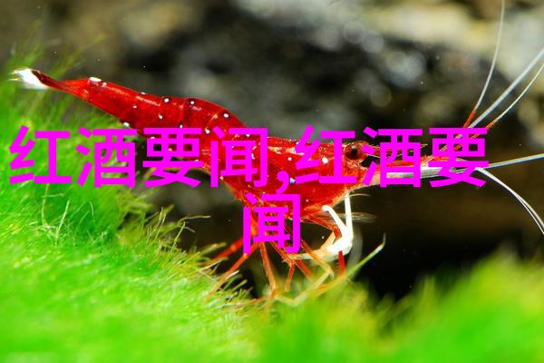 历史的画面解读那些曾经播放过的视频
