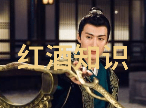 虚拟建造师开启梦想家园的奇迹创造者