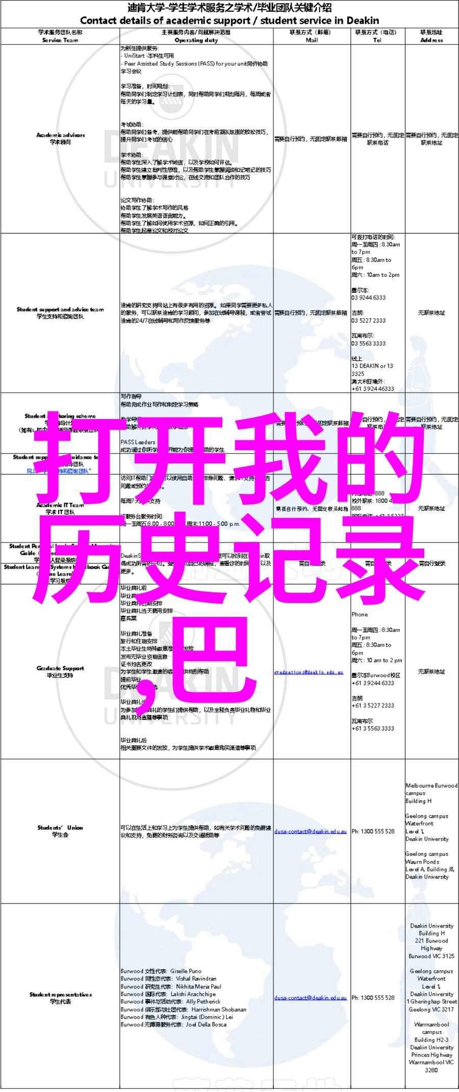 玉米的丰富品种从甜玉米到高粱探索田野中的多样性