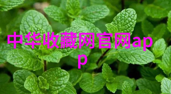 云南农科院咖啡咨询电话解锁优质咖啡种植与加工秘诀