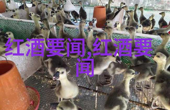 如果遗失快递单号怎么才能找回并查询送货信息