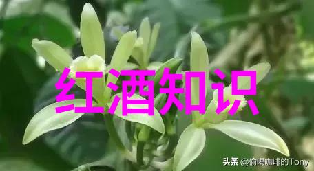 葡萄酒的酸度与甜度之谜解读葡萄酒口感的秘密